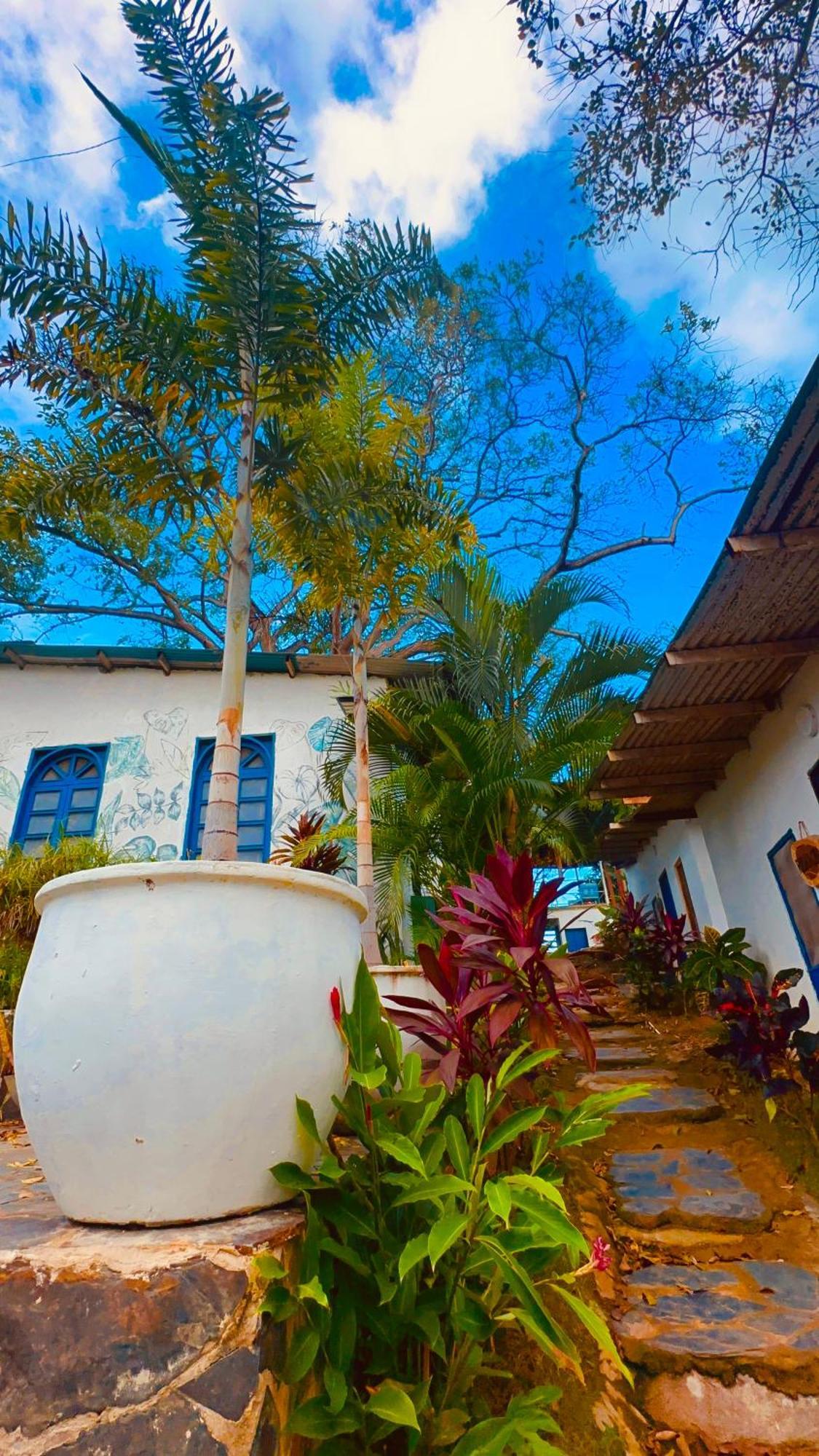Hotel Renasci Palomino Exterior foto